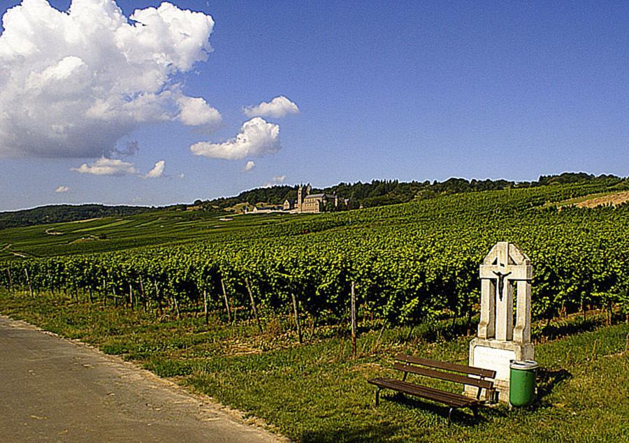 Hotel Weingut Magdalenenhof Rüdesheim am Rhein Exterior foto