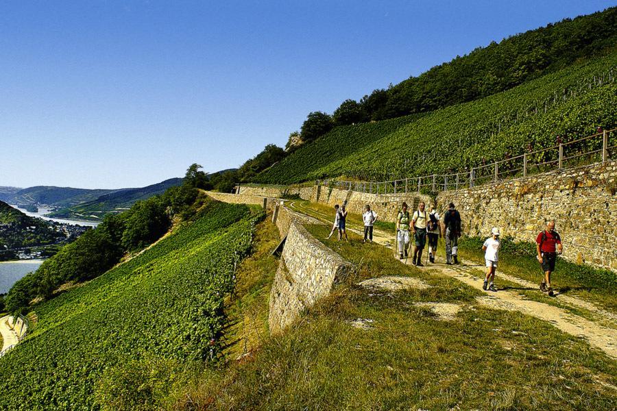 Hotel Weingut Magdalenenhof Rüdesheim am Rhein Exterior foto