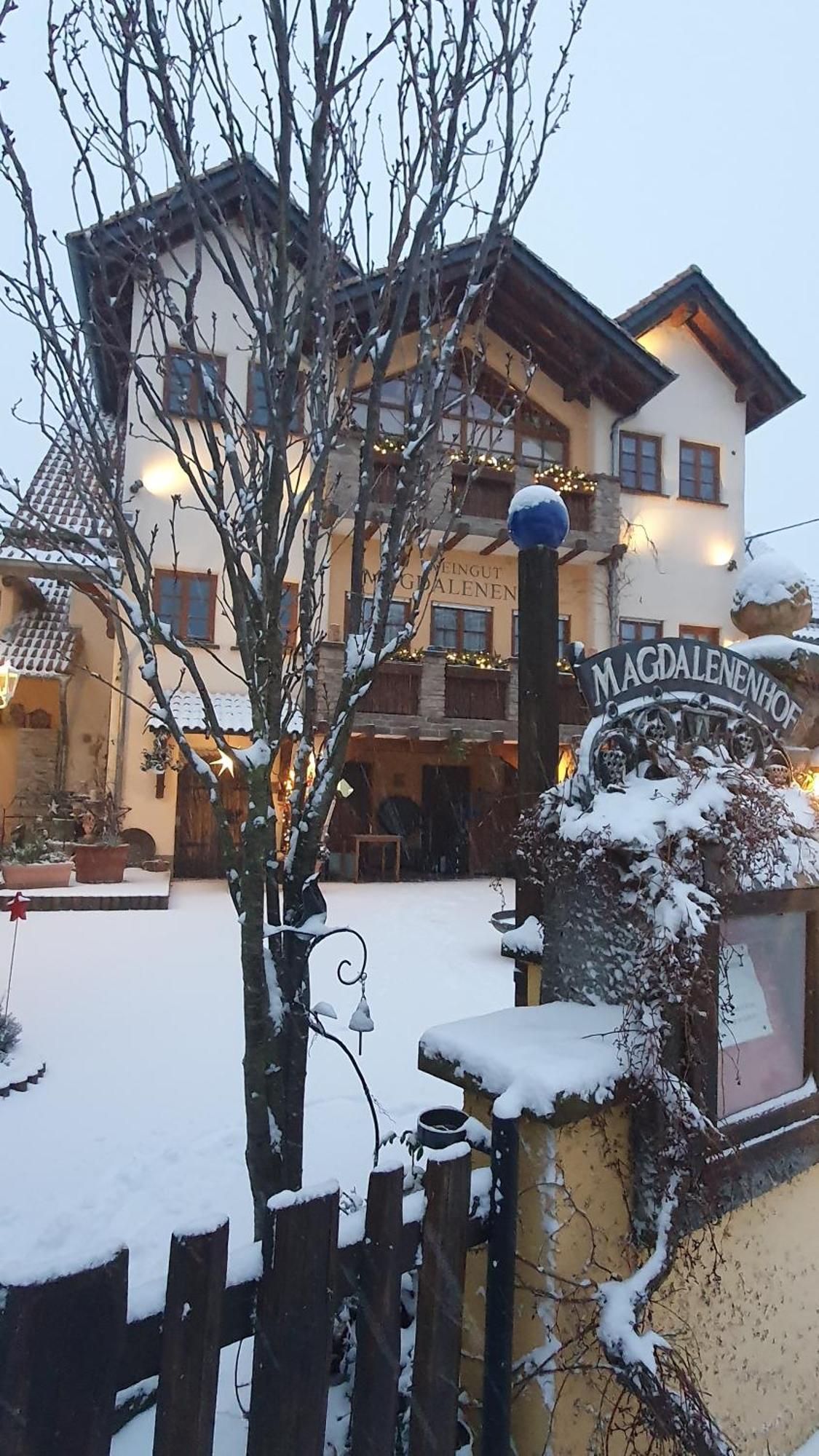 Hotel Weingut Magdalenenhof Rüdesheim am Rhein Exterior foto