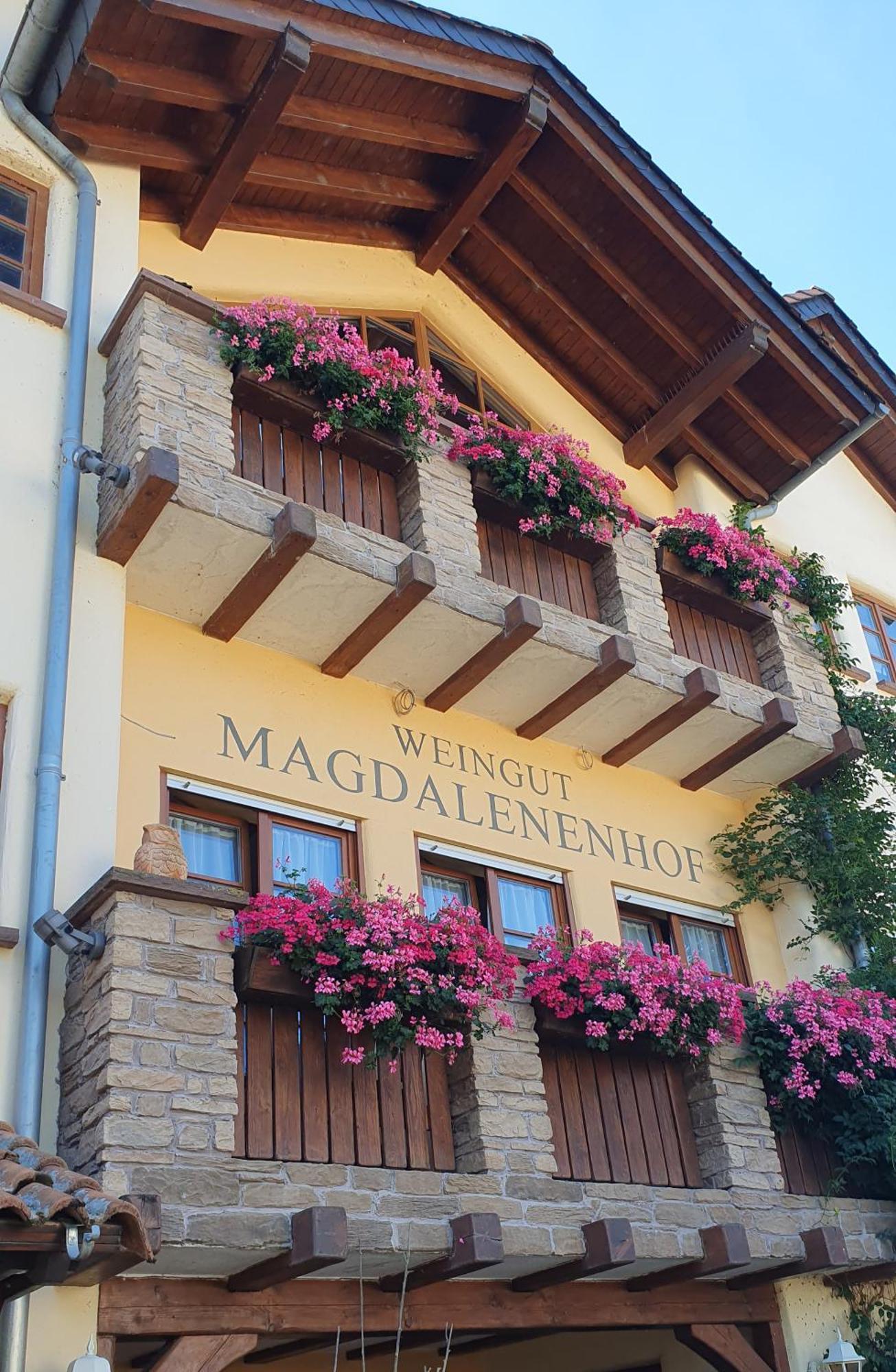 Hotel Weingut Magdalenenhof Rüdesheim am Rhein Exterior foto