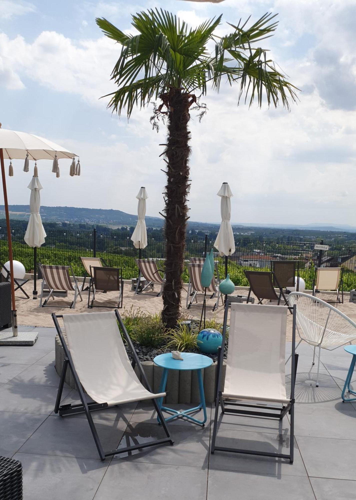 Hotel Weingut Magdalenenhof Rüdesheim am Rhein Exterior foto