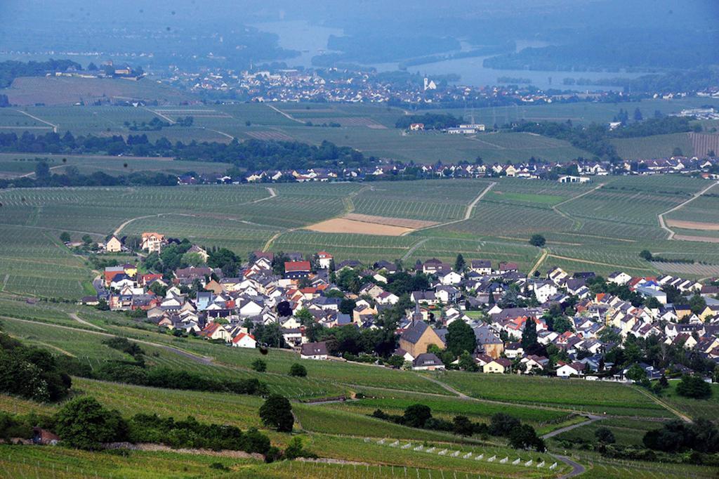 Hotel Weingut Magdalenenhof Rüdesheim am Rhein Exterior foto