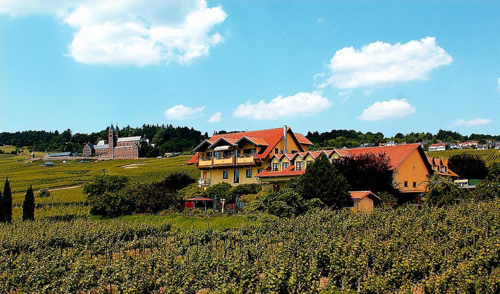 Hotel Weingut Magdalenenhof Rüdesheim am Rhein Exterior foto