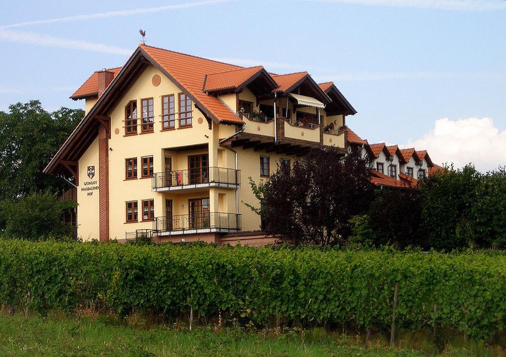 Hotel Weingut Magdalenenhof Rüdesheim am Rhein Exterior foto