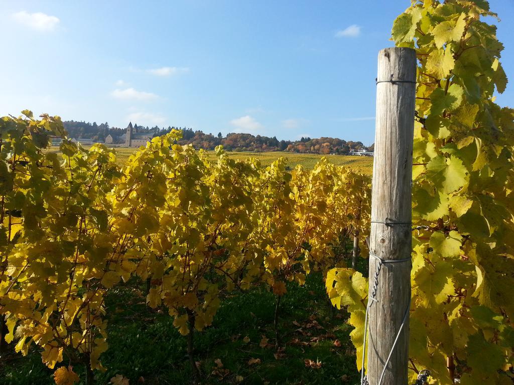 Hotel Weingut Magdalenenhof Rüdesheim am Rhein Exterior foto